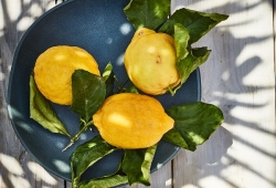 Green Verdigris Lemons